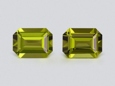 Pair of peridots octagon cut 4.94 carats, Burma photo