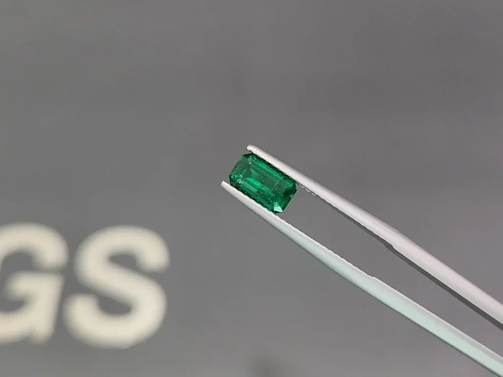 Vivid green emerald in octagon cut 0.88 carats, Panjshir Image №3