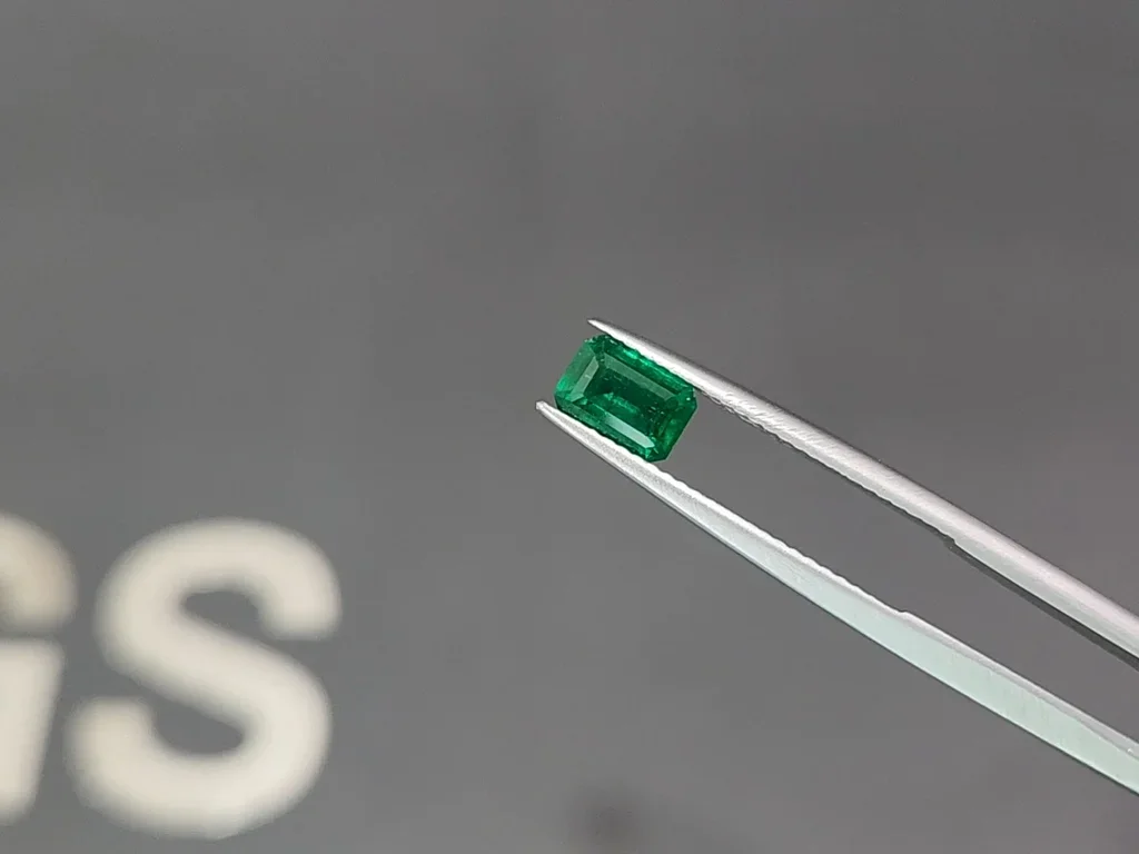 Vivid green emerald in octagon cut 0.78 carats, Panjshir Image №3
