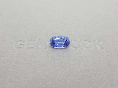 Ceylon cornflower blue sapphire 3.55 ct photo