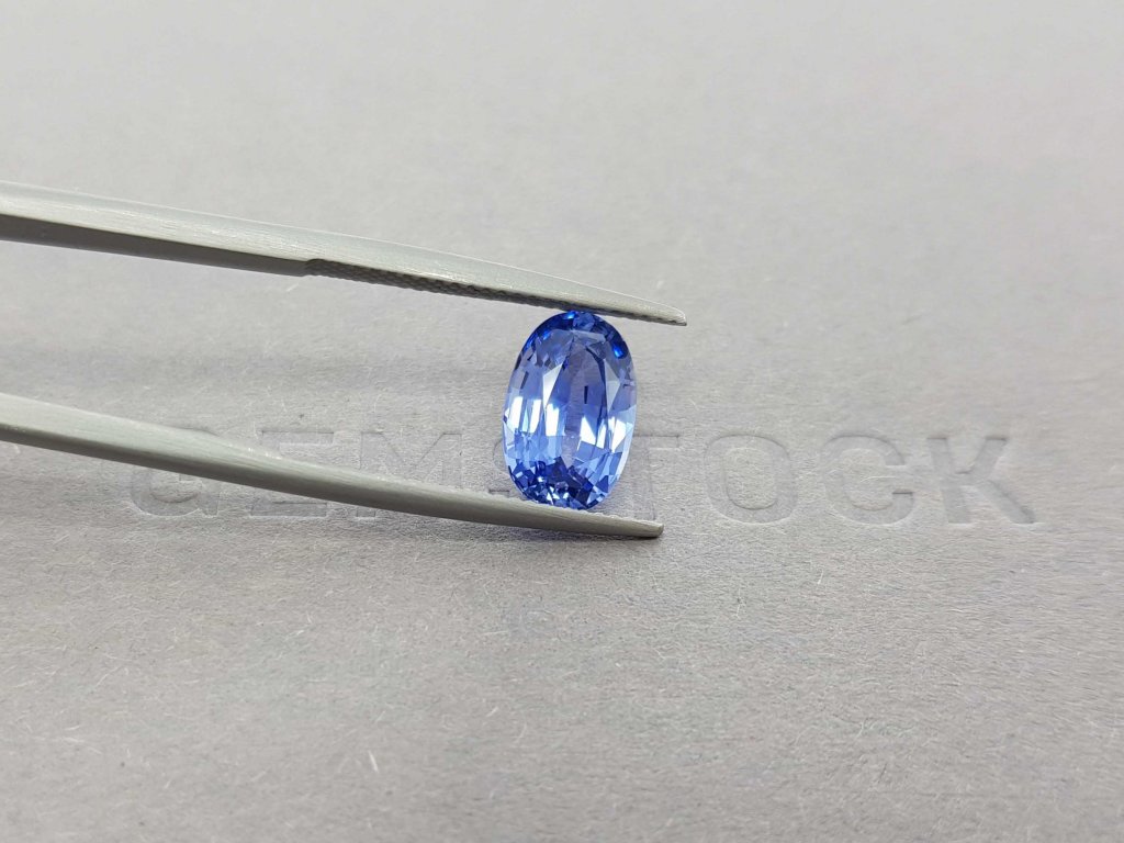 Ceylon cornflower blue sapphire 3.55 ct Image №4