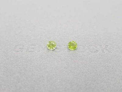 A pair of bright green tourmalines in a 5 mm round cut photo