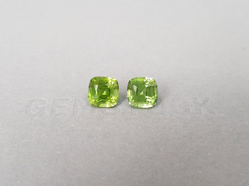 Pair of apple green peridots from Burma 6.04 ct Image №1