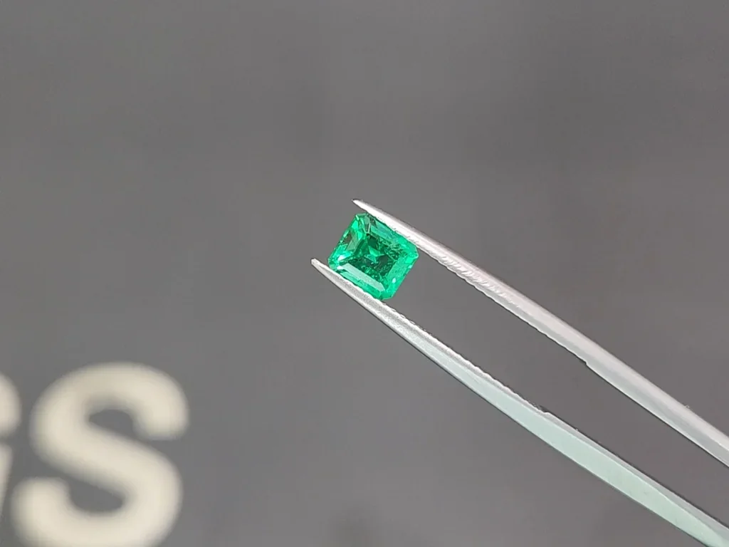 Super rare Panjshir Vivid green emerald in octagon cut 0.73 carats Image №3