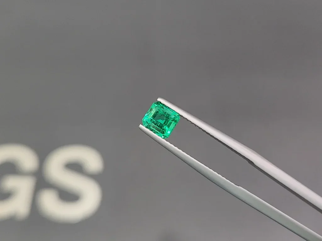 Super rare Panjshir Vivid green emerald in octagon cut 0.73 carats Image №3