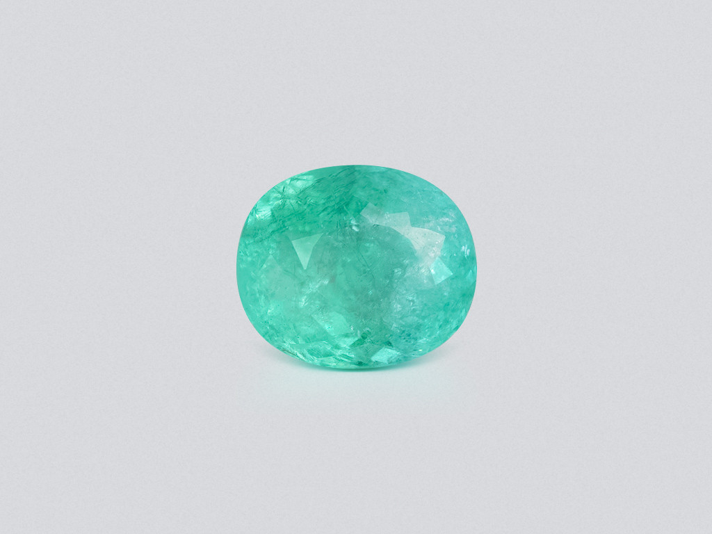 Paraiba Neon Green oval cut 8.38 carats, Mozambique Image №1