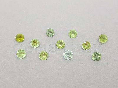 Bright round cut tourmaline 5 mm photo