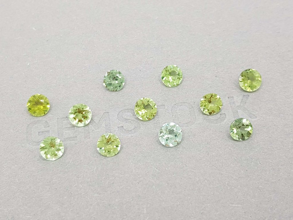 Bright round cut tourmaline 5 mm Image №2