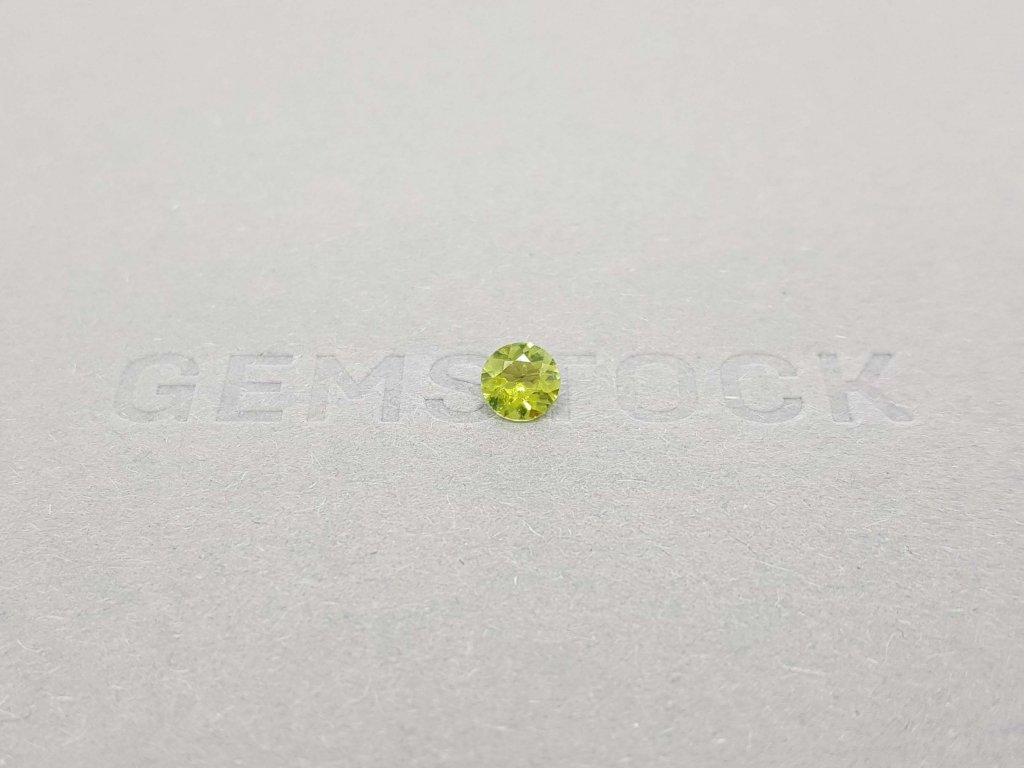 Bright round cut tourmaline 5 mm Image №4