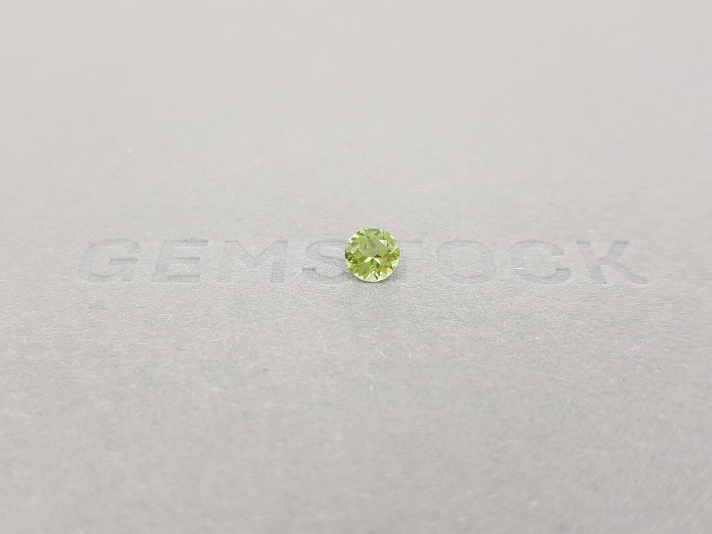 Bright round cut tourmaline 5 mm Image №5
