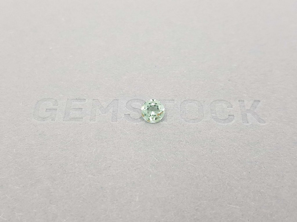 Bright round cut tourmaline 5 mm Image №7