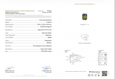 Certificate Unheated Bi-color sapphire in radiant cut  11.65 carats, Sri Lanka