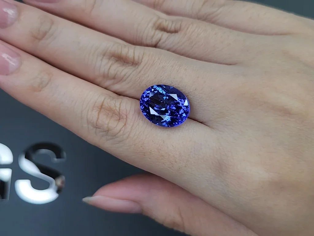 Tanzanite in oval cut 9.00 carats, Tanzania Image №2