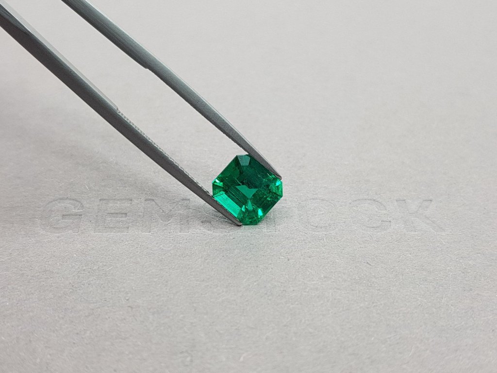 Intense "Muzo Green" Emerald octagon cut 1.59 ct Image №5