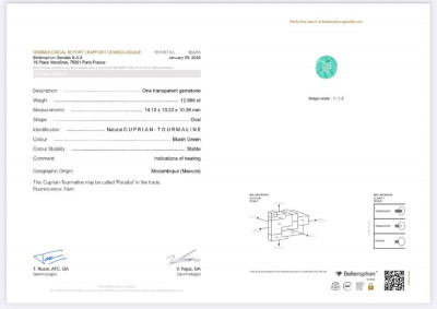 Certificate Paraiba Neon Green oval cut 12.89 carats, Mozambique