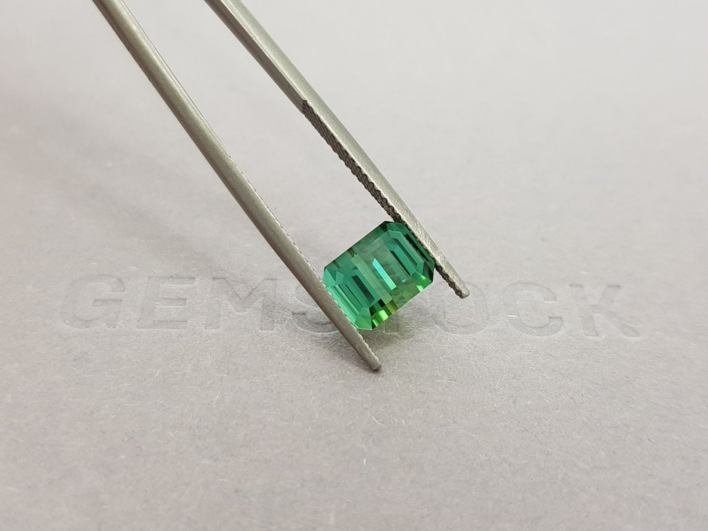 Lagoon green tourmaline 3.21 ct, Afghanistan, ICA Image №4