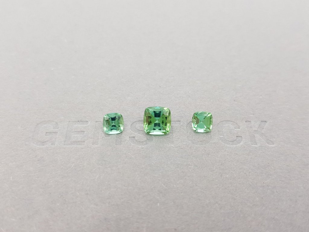 Set of tourmalines from Afghanistan, cushion cut 1.76 ct Image №1
