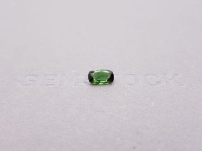 Intense green cushion cut tourmaline 0.94 ct photo