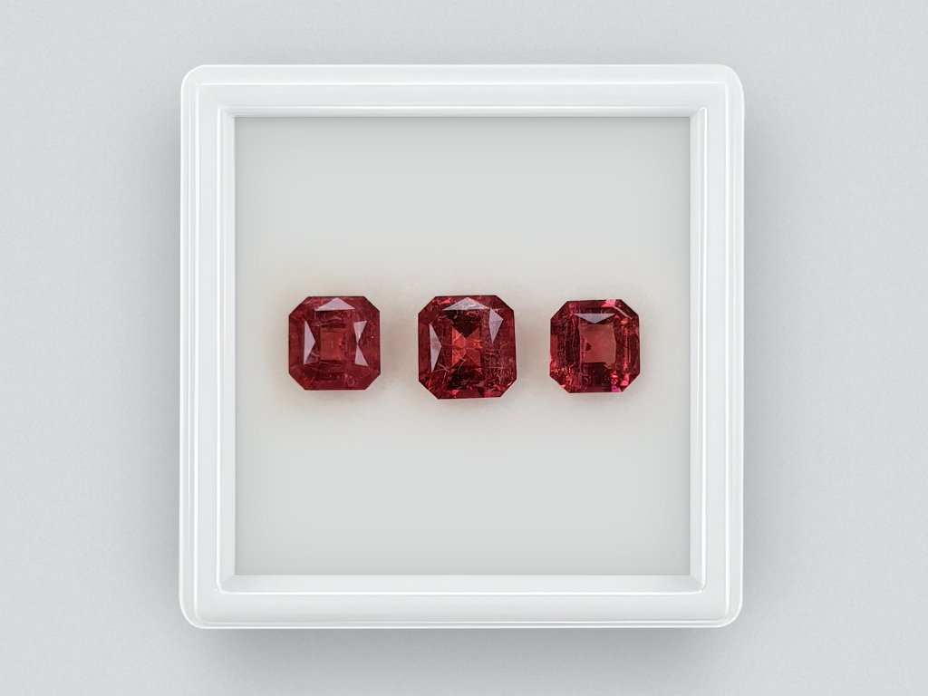 Set of rubellites 1.5-3 carats in octagon cut  Image №1