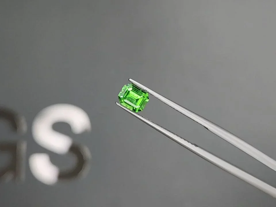 Vivid green tsavorite garnet in octagon cut 0.60 carats, Tanzania  Image №3