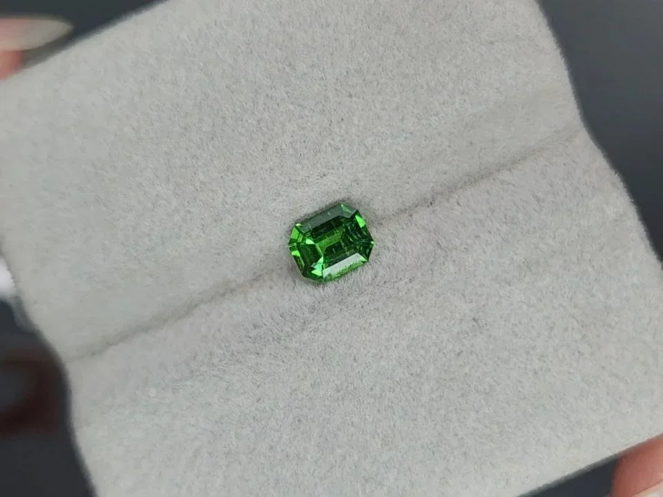 Vivid green tsavorite garnet in octagon cut 0.60 carats, Tanzania  Image №4