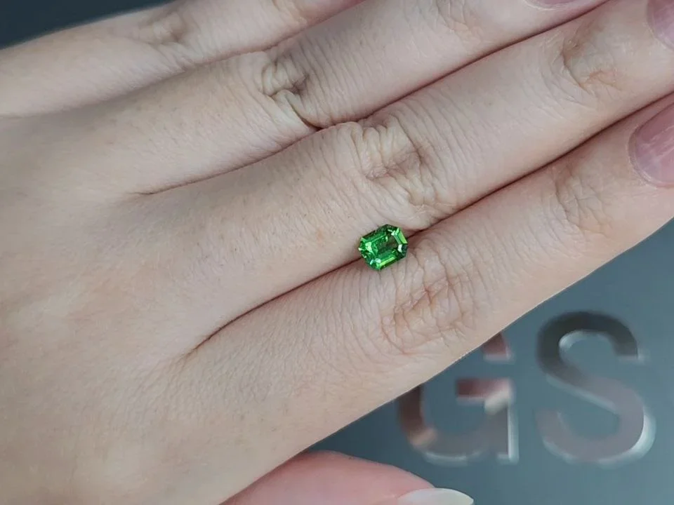 Vivid green tsavorite garnet in octagon cut 0.60 carats, Tanzania  Image №2