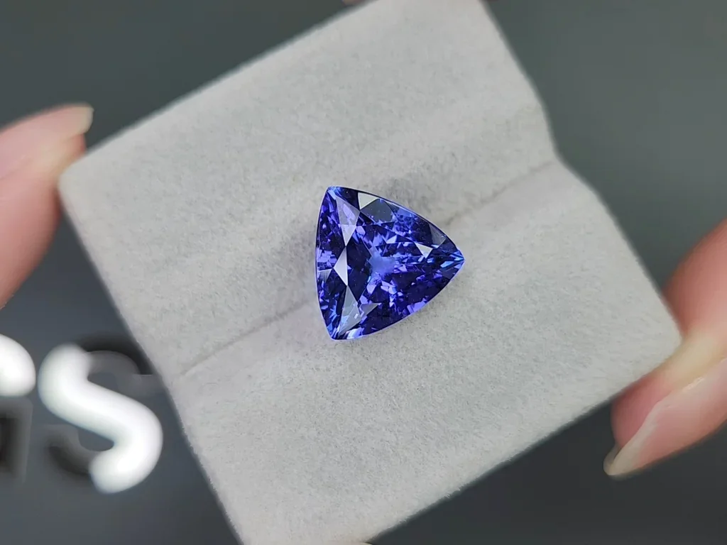 Tanzanite in trillion cut 7.19 carats, Tanzania Image №4