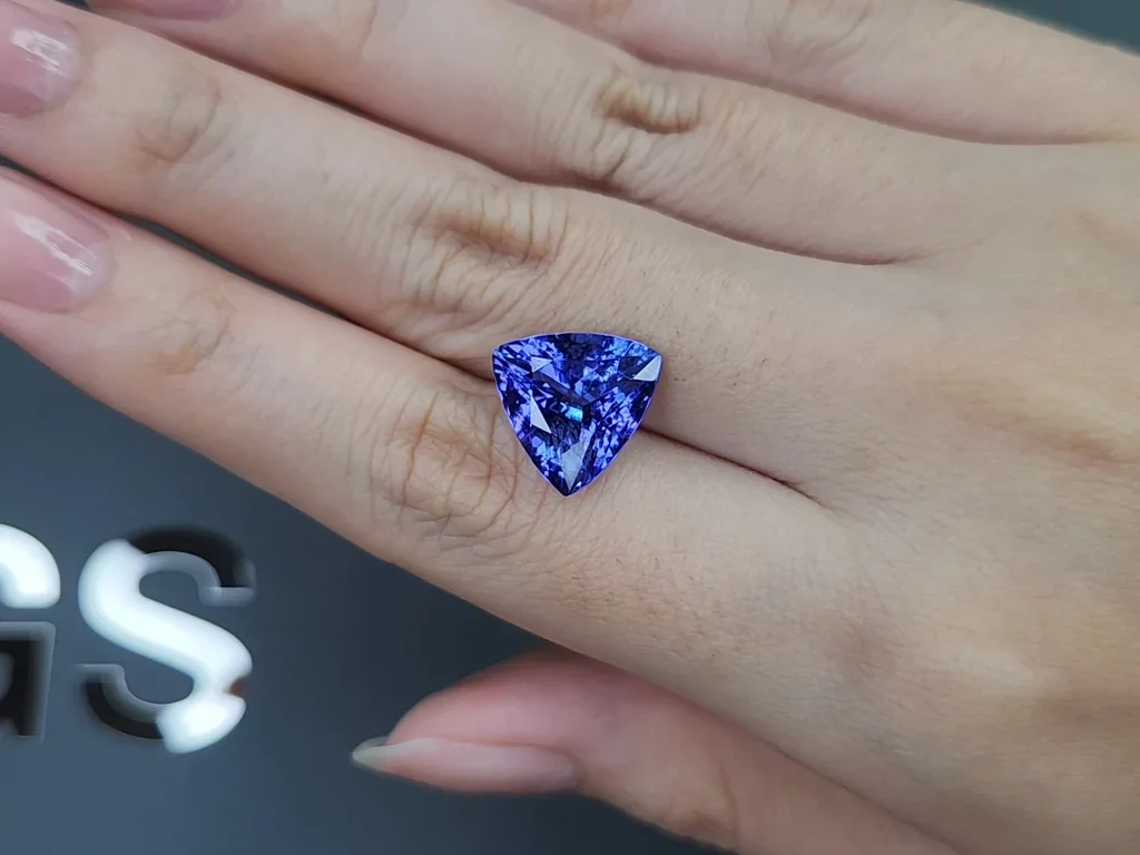 Tanzanite in trillion cut 7.19 carats, Tanzania Image №2