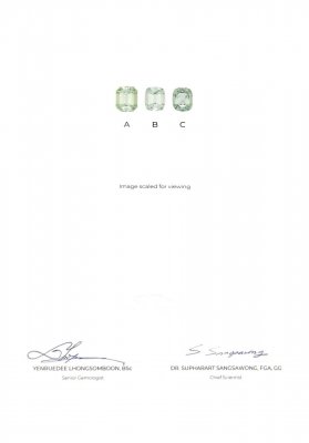 Certificate A pair of mint tourmaline from Afghanistan to cut 2.98 carat cushion