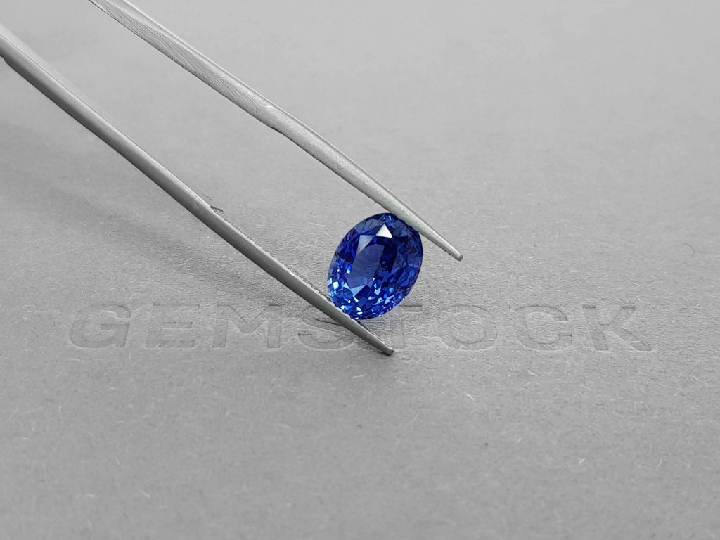 Cornflower oval sapphire 3.48 ct, Sri Lanka Image №4