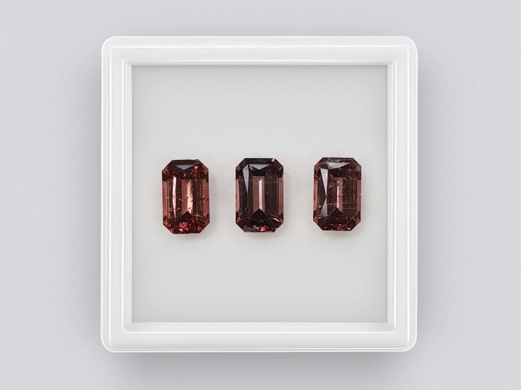 Octagon cut rubellite set 3.99, Africa Image №1