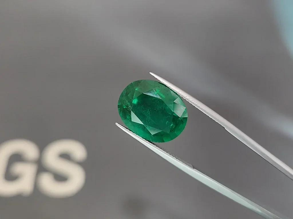 Large emerald Vivid Green oval cut emerald 11.30 carats, Zambia Image №3
