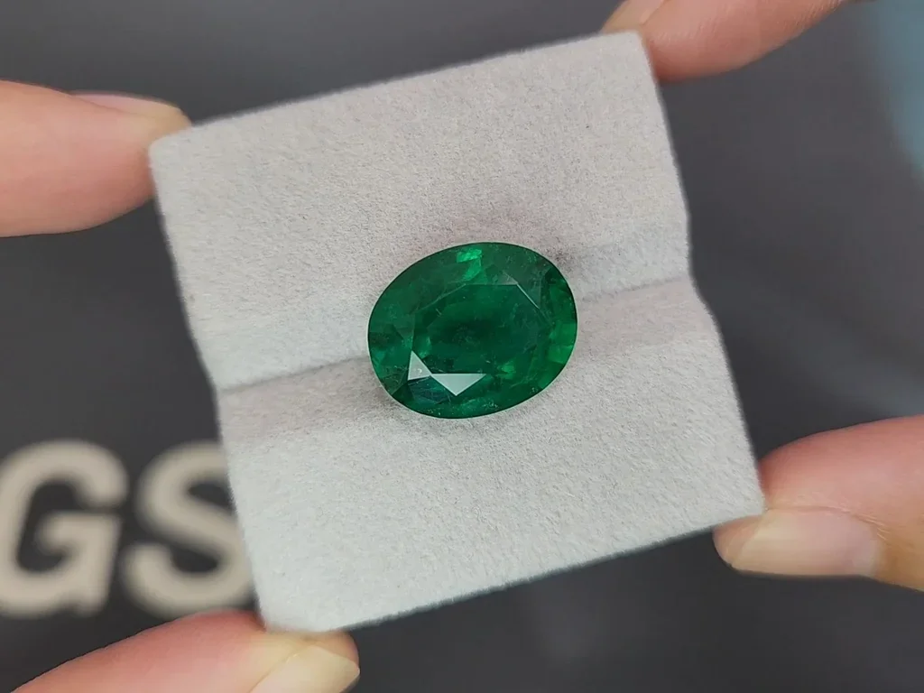 Large emerald Vivid Green oval cut emerald 11.30 carats, Zambia Image №4