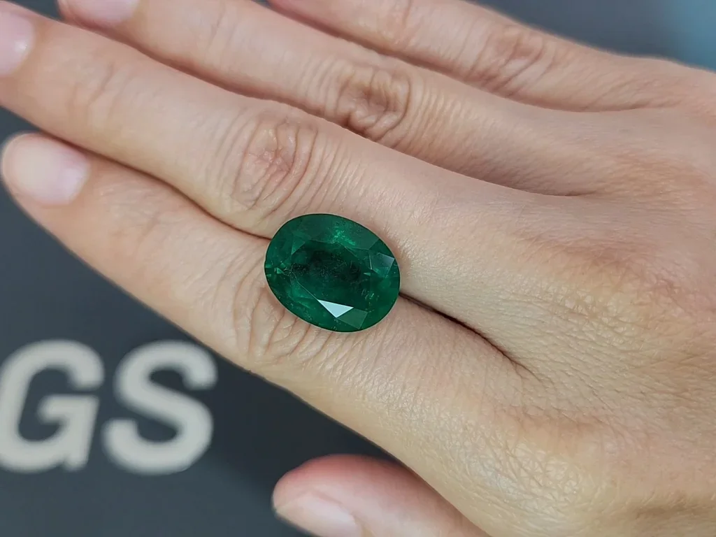 Large emerald Vivid Green oval cut emerald 11.30 carats, Zambia Image №2