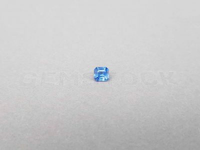 Untreated octagon cut blue sapphire 0.63 ct, Sri Lanka photo