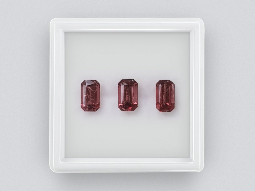 Set of rubellites, octagon cut 3.25, Africa Image №1