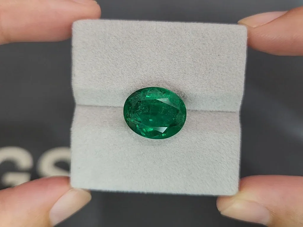  Emerald Vivid Green oval cut 9.70 carats, Zambia Image №4