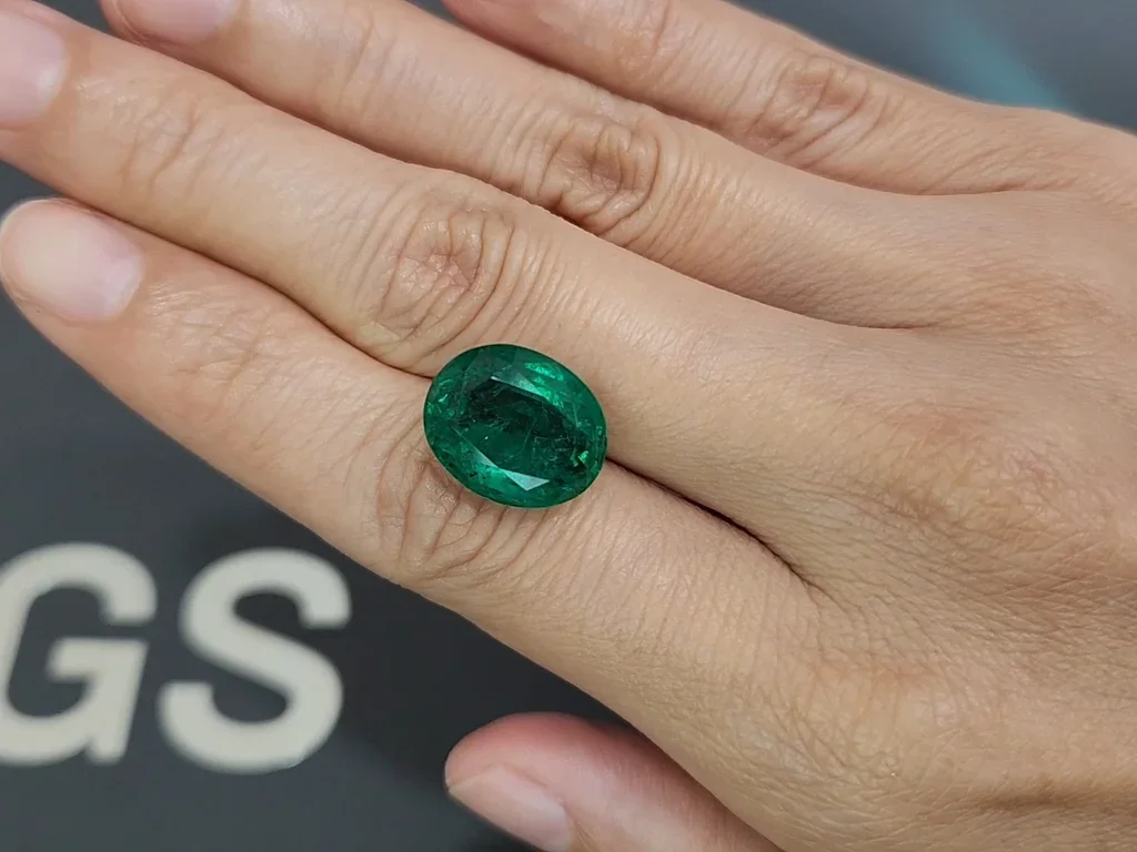  Emerald Vivid Green oval cut 9.70 carats, Zambia Image №2