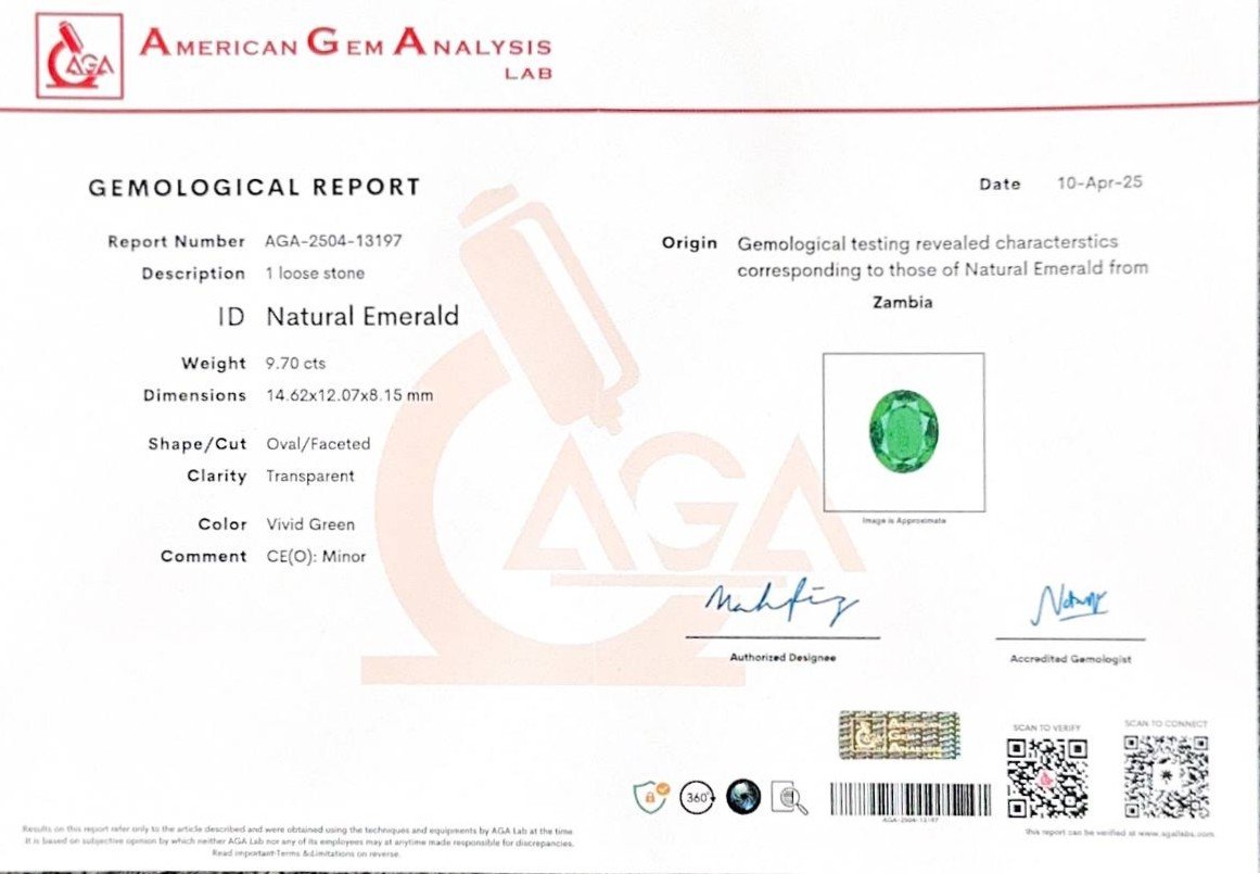  Emerald Vivid Green oval cut 9.70 carats, Zambia Image №6