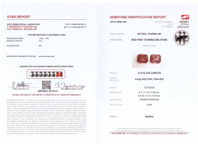 Certificate Octagon cut rubellite set 5.36, Africa