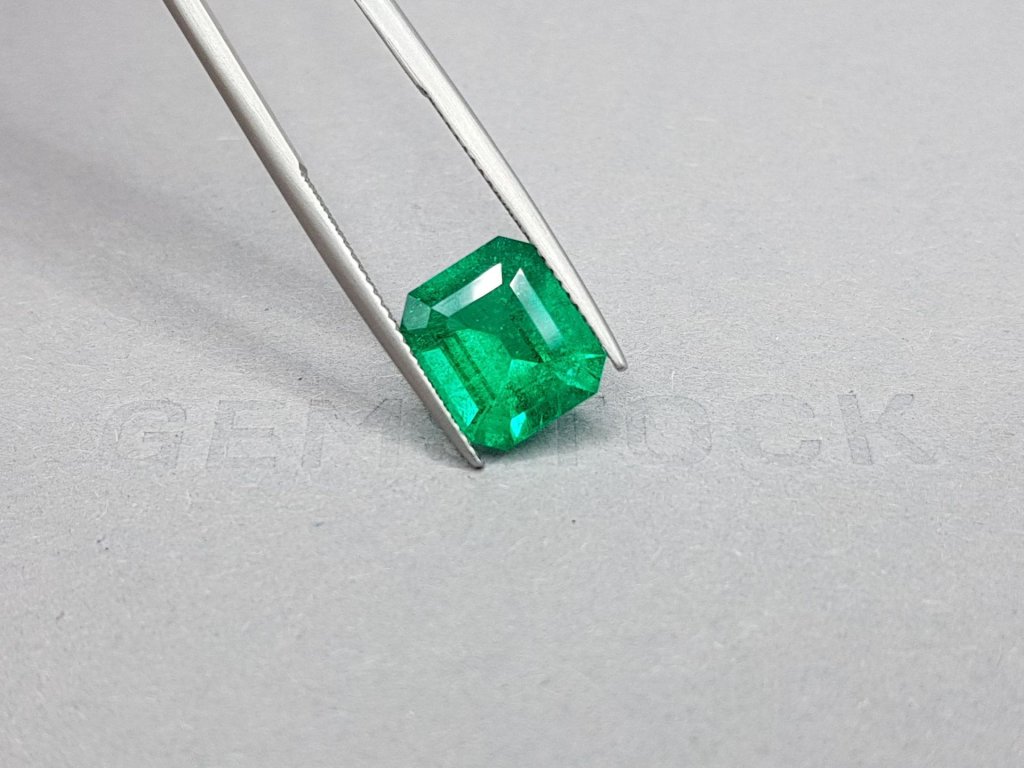 Colombian Vivid Green emerald in octagon shape 3.99 ct, GRS Image №5