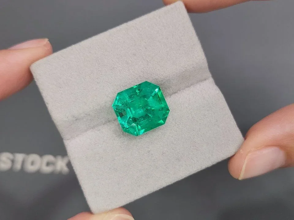 Intense Green Colombian emerald 7.90 carats in octagon cut Image №4