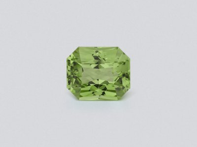 Garnet tsavorite radiant cut 1.58 carats, Tanzania photo