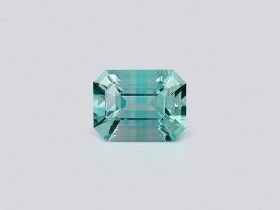 Rare green octagon cut beryl 6.38 carats, Russia  photo