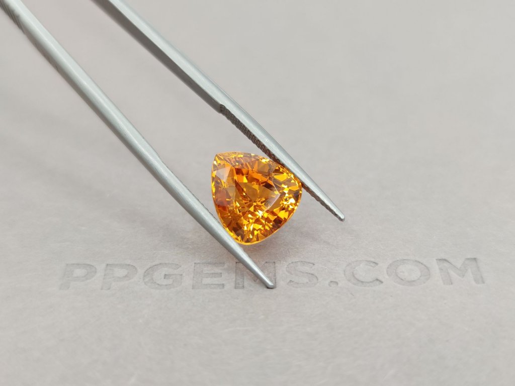 Top fancy cut spessartine 8.62 ct Image №4