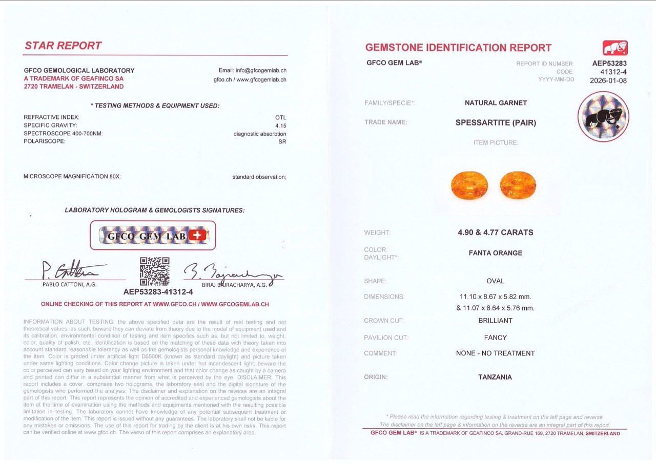 Pair of Fanta spessartines oval cut 9.67 carats, Tanzania Image №5