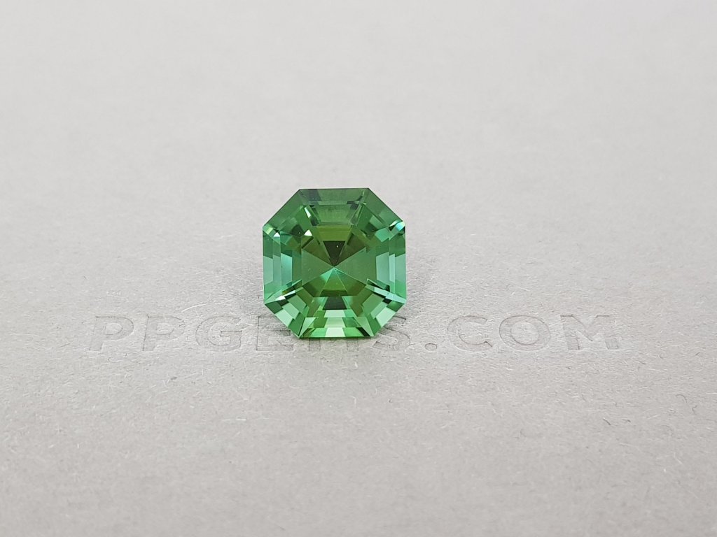 Unheated tourmaline verdelite octagon cut 6.05 ct Image №1