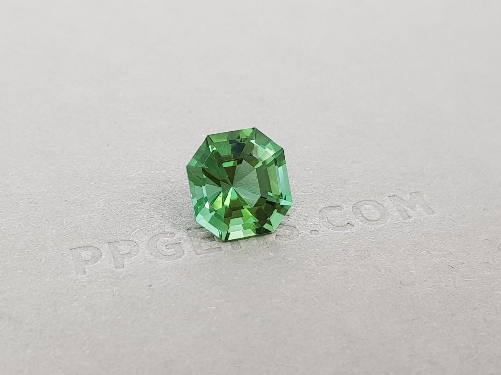 Unheated tourmaline verdelite octagon cut 6.05 ct Image №2