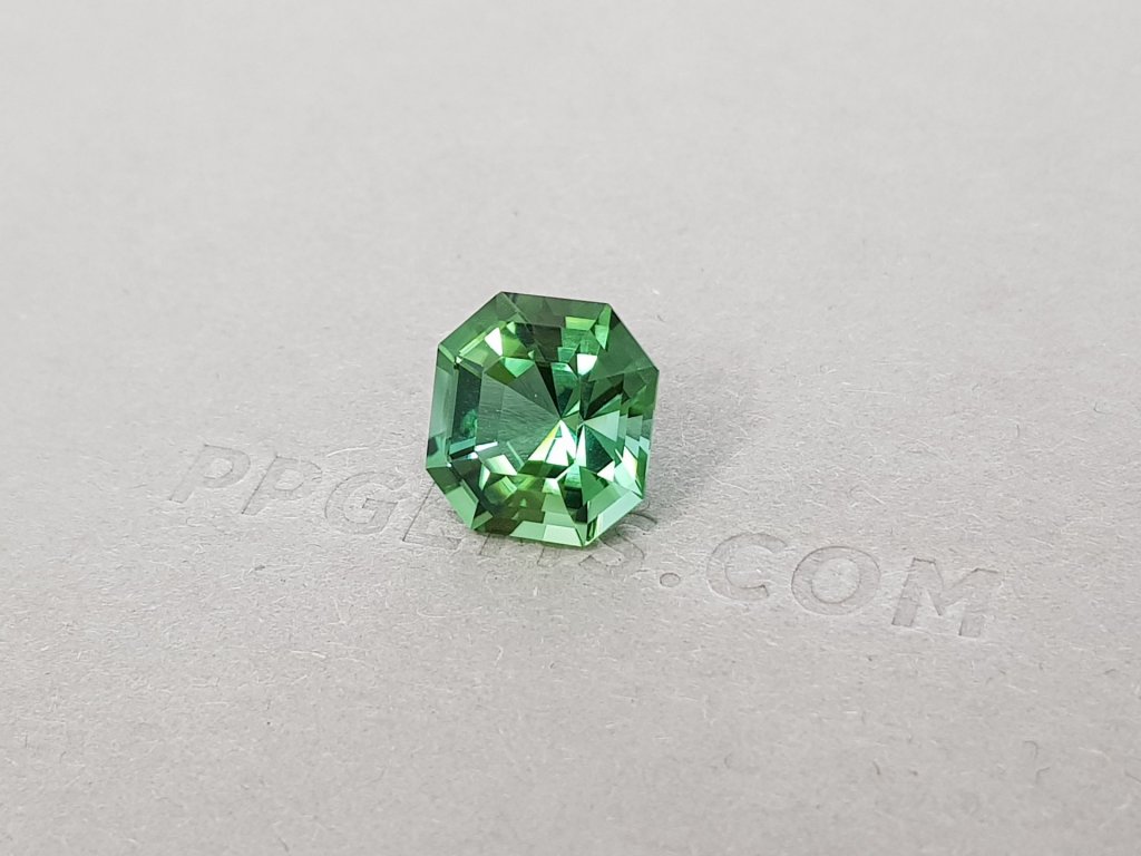 Unheated tourmaline verdelite octagon cut 6.05 ct Image №3