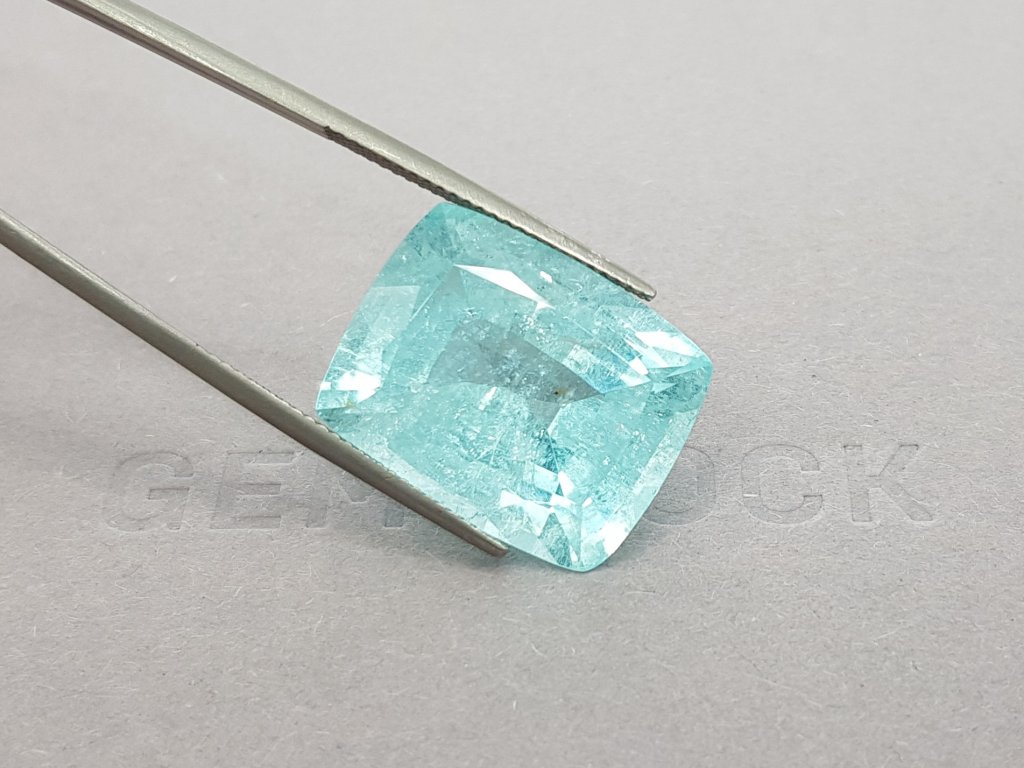 Large 24.00 carat cushion cut Paraiba blue tourmaline, Mozambique Image №2